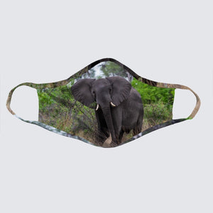Mask - African Elephant