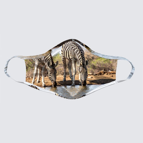 Mask - Zebras